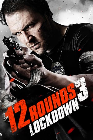 12 Rounds 3 Lockdown 2015 Hindi Dual Audio | Hindi Dubbed Movie BluRay [780MB]