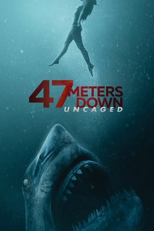 47 Meters Down: Uncaged (2019) Hindi Dual Audio | Hindi Dubbed Movie BluRay [950MB]