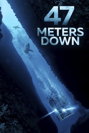 47 Metres Down (2017) Hindi Dual Audio | Hindi Dubbed Movie BluRay 300MB