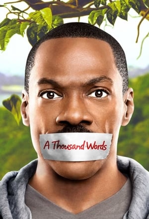 A Thousand Words (2012) Hindi Dual Audio | Hindi Dubbed Movie BluRay [800MB]