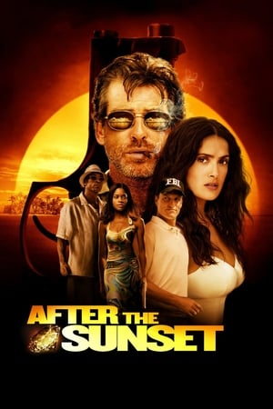 After The Sunset (2004) Hindi Dual Audio | Hindi Dubbed Movie BluRay 320MB