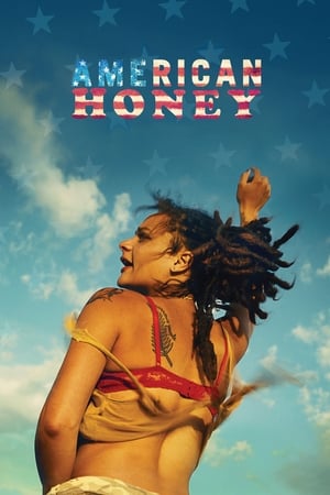 American Honey (2016) Hindi Dual Audio | Hindi Dubbed Movie BluRay 500MB