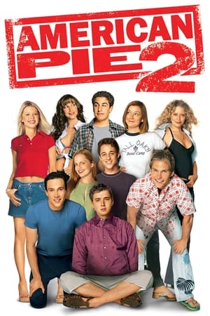 American Pie 2 (2001) Hindi Dual Audio | Hindi Dubbed Movie BluRay 375MB