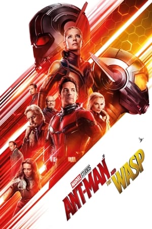 Ant Man and the Wasp (2018) Hindi (Org) Dual Audio | Hindi Dubbed Movie BluRay [1.1GB]