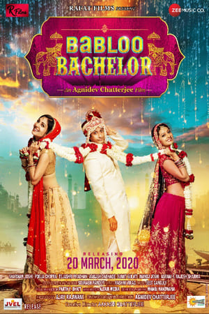 Babloo Bachelor (2021) Hindi Movie HDRip | Hindi Dubbed Movie – 480p
