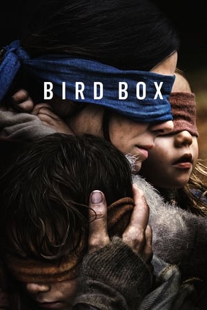 Bird Box 2018 Hindi (HQ DUBBED) Dual Audio | Hindi Dubbed Movie WebRip 380MB