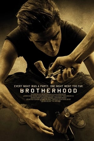 Brotherhood (2010) Hindi Dual Audio HDRip | Hindi Dubbed Movie – 480p