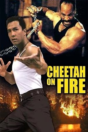 Cheetah on Fire 1992 Hindi Dual Audio | Hindi Dubbed Movie Web-DL [900MB]