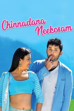Chinnadana Nee Kosam 2014 Hindi Dual Audio | Hindi Dubbed Movie BluRay [1.5GB]