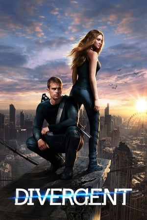 Divergent (2014) Hindi Dual Audio | Hindi Dubbed Movie BluRay 450MB
