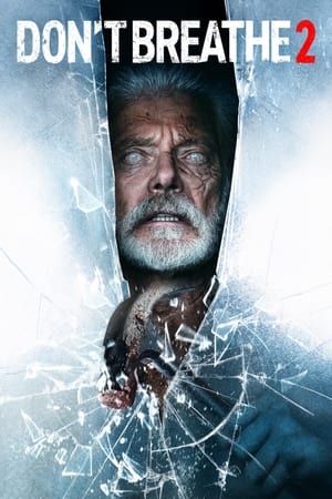 Don’t Breathe 2 (2021) Hindi Dual Audio | Hindi Dubbed Movie HDRip 400MB