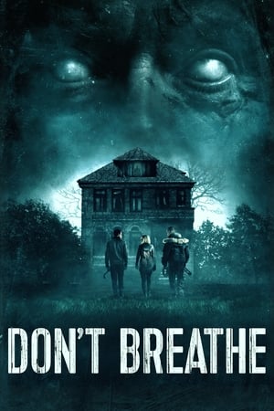 Don't Breathe (2016) Hindi Dual Audio | Hindi Dubbed Movie BluRay [850MB]