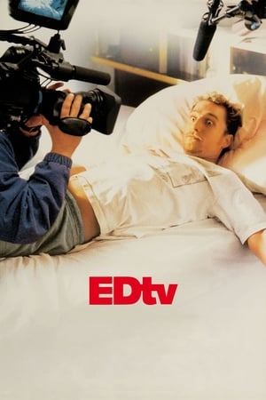 Edtv (1999) Hindi Dual Audio | Hindi Dubbed Movie BluRay [950MB]