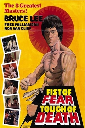 Fist of Fear Touch of Death 1980 Hindi Dual Audio | Hindi Dubbed Movie DVDRip [1GB]