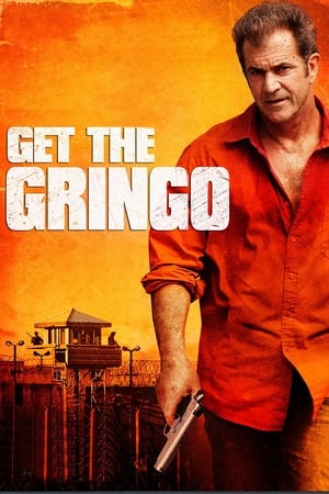 Get the Gringo (2012) Hindi Dual Audio | Hindi Dubbed Movie BluRay 300MB