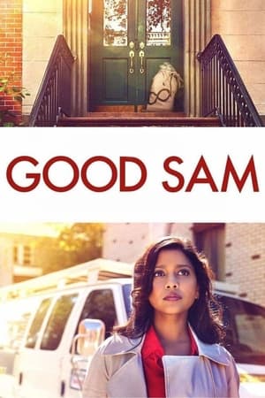 Good Sam 2019 Hindi Dual Audio | Hindi Dubbed Movie Web-DL [820MB]