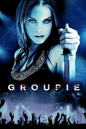 Groupie (2010) Hindi Dual Audio | Hindi Dubbed Movie BluRay [1.1GB]