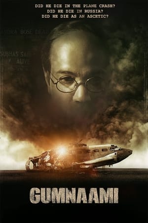 Gumnaami (2019) Hindi Movie | Hindi Dubbed Movie HDRip - [400MB]