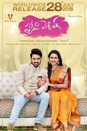 Happy Wedding (2018) (Hindi - Telugu) Dual Audio | Hindi Dubbed Movie UnCut HDRip [1.4GB]