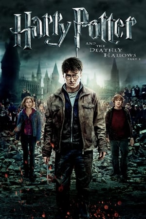 Harry Potter and the Deathly Hallows 2011 – Part 2 Hindi Dubbed Bluray | Hindi Dubbed Movie [1.0GB] Download