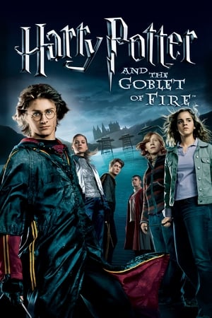 Harry Potter and the Goblet of Fire 2005 Hindi Dual Audio WEB-DL | Hindi Dubbed Movie