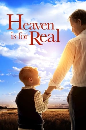 Heaven Is for Real (2014) Hindi Dual Audio | Hindi Dubbed Movie BluRay [850MB] ESubs