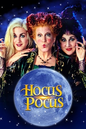 Hocus Pocus 1993 Hindi Dual Audio | Hindi Dubbed Movie BluRay [850MB]