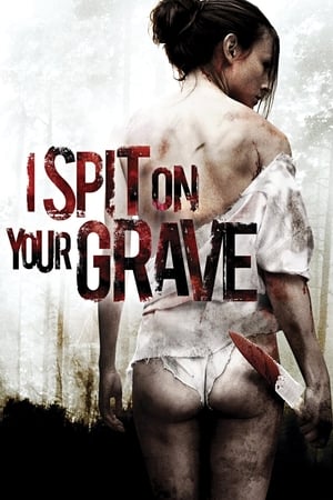 I Spit on Your Grave 2010 Hindi Dual Audio | Hindi Dubbed Movie BluRay [1.1GB]