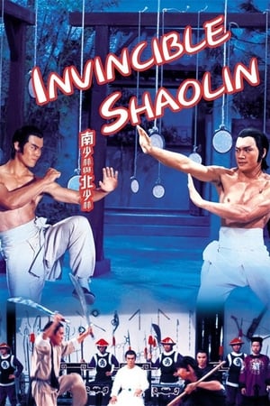 Invincible Shaolin 1978 Hindi Dual Audio | Hindi Dubbed Movie BluRay [1.3GB]