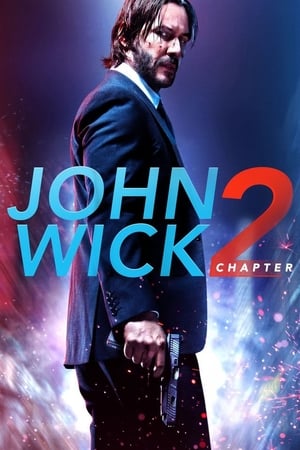 john Wick Chapter 2 2017 Movie WEB-DL | Hindi Dubbed Movie HEVC [550MB] Download