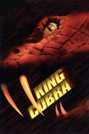 King Cobra 1999 Hindi Dual Audio | Hindi Dubbed Movie Web-DL 300MB