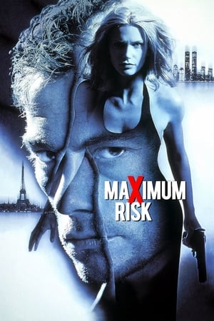 Maximum Risk (1996) Hindi Dual Audio | Hindi Dubbed Movie BluRay 330MB