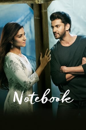 Notebook (2019) Hindi Movie | Hindi Dubbed Movie HDRip x264 [1.4GB]