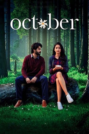 October (2018) Movie | Hindi Dubbed Movie BluRay - [300MB]