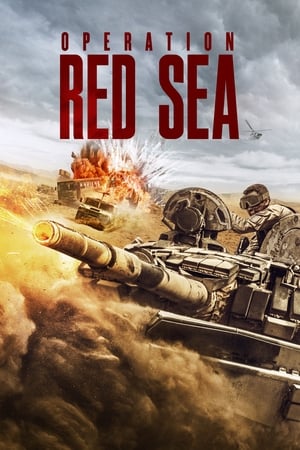 Operation Red Sea (2018) Hindi Dual Audio | Hindi Dubbed Movie BluRay 450MB