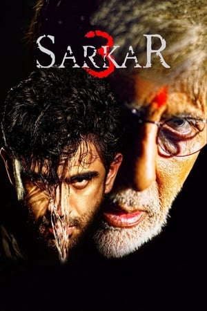 Sarkar 3 2017 350MB Full Movie | Hindi Dubbed Movie DVDRip Download