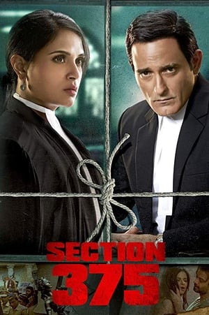 Section 375 (2019) Hindi Movie | Hindi Dubbed Movie HDRip x264 [980MB]