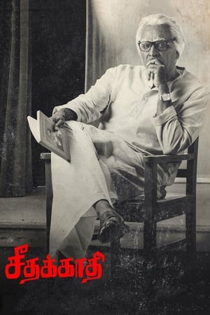 Seethakaathi (2018) Hindi Dubbed | Hindi Dubbed Movie HDRip [1.1GB]