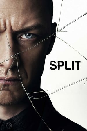 Split (2016) Hindi Dual Audio | Hindi Dubbed Movie BluRay [1GB]