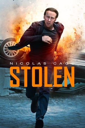 Stolen (2012) Hindi Dual Audio | Hindi Dubbed Movie BluRay [800MB] ESubs