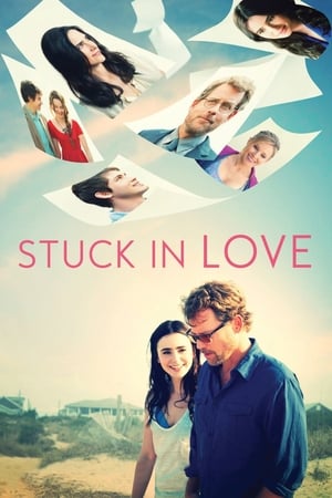 Stuck in Love (2012) Hindi Dual Audio | Hindi Dubbed Movie BluRay [850MB]