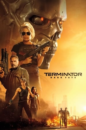 Terminator: Dark Fate (2019) Hindi (Org) Dual Audio | Hindi Dubbed Movie BluRay 400MB