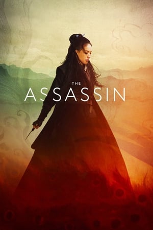 The Assassin 2015 Hindi Dual Audio | Hindi Dubbed Movie BluRay 300MB