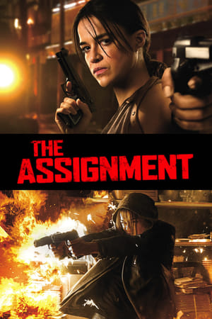 The Assignment (2016) Hindi Dual Audio | Hindi Dubbed Movie BluRay [850MB]