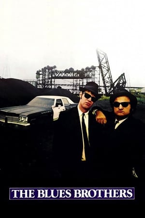 The Blues Brothers (1980) Hindi Dual Audio | Hindi Dubbed Movie BluRay [1.3GB] ESubs