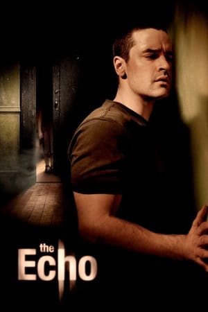 The Echo (2008) Hindi Dual Audio | Hindi Dubbed Movie BluRay 300MB