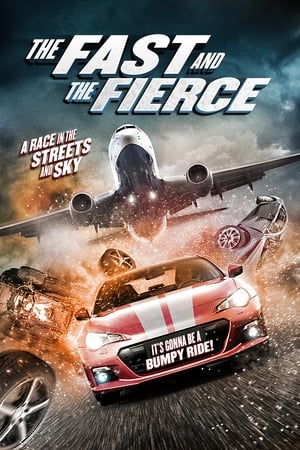 The Fast and the Fierce 2017 Hindi Dual Audio | Hindi Dubbed Movie BluRay [900MB]