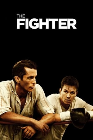 The Fighter (2010) Hindi Dual Audio | Hindi Dubbed Movie BluRay [700MB]