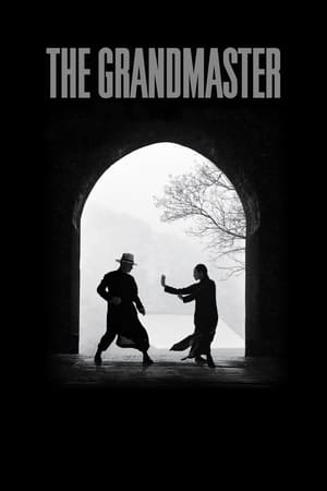 The Grandmaster (2013) Hindi Dual Audio | Hindi Dubbed Movie BluRay [1GB] ESubs