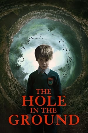 The Hole in the Ground 2019 Hindi Dual Audio | Hindi Dubbed Movie BluRay 300MB